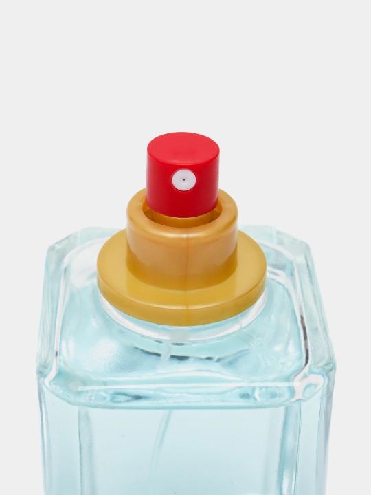 Uniseks Parfyumlangan suv Fragrance World Kirke, erkak va ayollar uchun, 100 ml