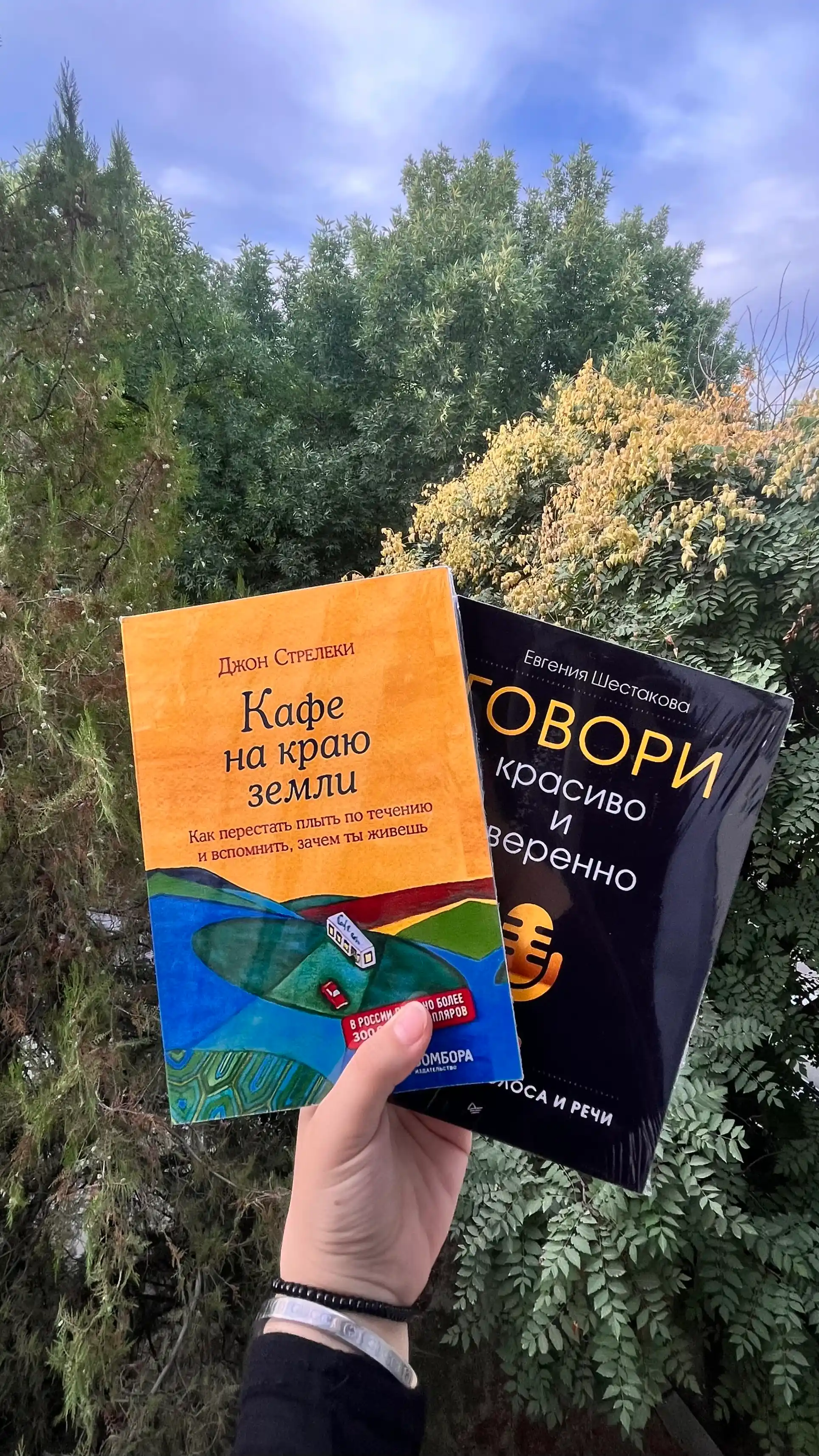 Говори красиво и уверенно. Постановка голоса и речи, Шестакова Е