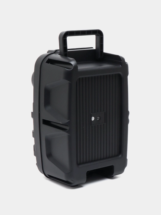 Караоке колонка Bluetooth с микрофоном, для прослушивания музыки ZQS 4290, 8122, Q8, 4239