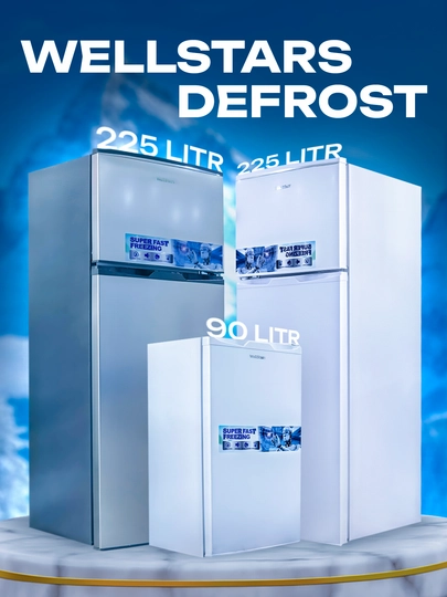 Холодильник WellStars DeFrost, 90, 225 л — БЫТМАГ-WSREF-БЕЛЫЙ-BCD225