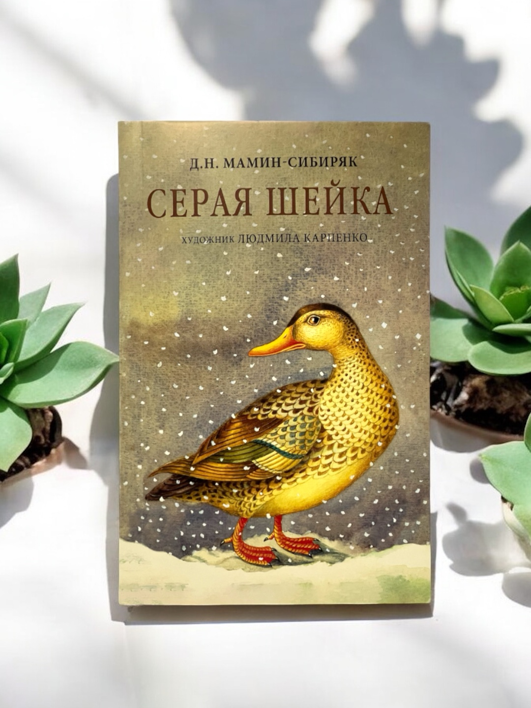 Pornoga kukun sepildi Dora Venter bilan porno tomosha qiling