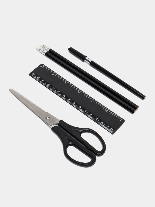Tashkilotchi PMP 1001S