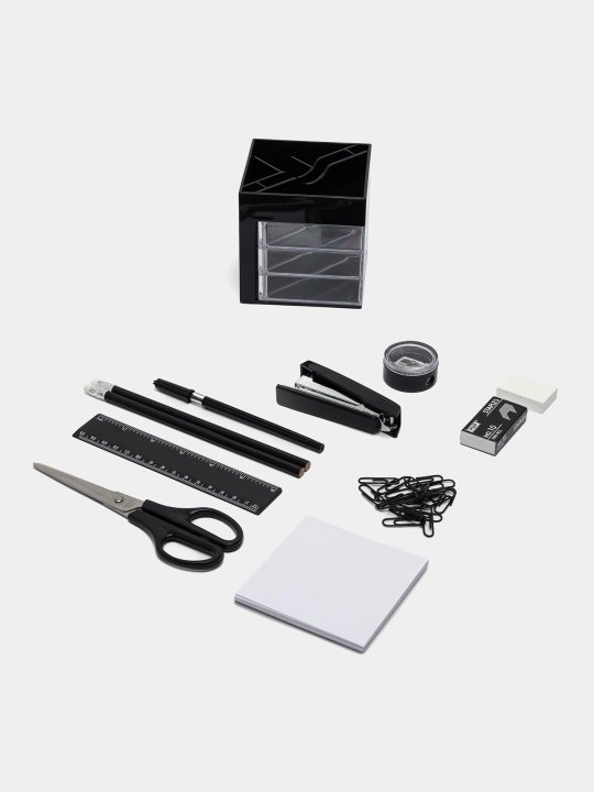 Tashkilotchi PMP 1001S