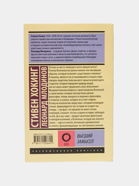 Высший замысел, Хокинг Стивен, Млодинов Леонард