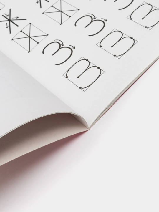 Учимся писать крупные буквы и цифры, Олеся Жукова, 9785170945849 q0000016588