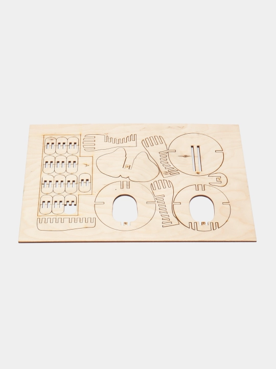 Деревянный конструктор, игрушка Eco Toys Wonder Wood