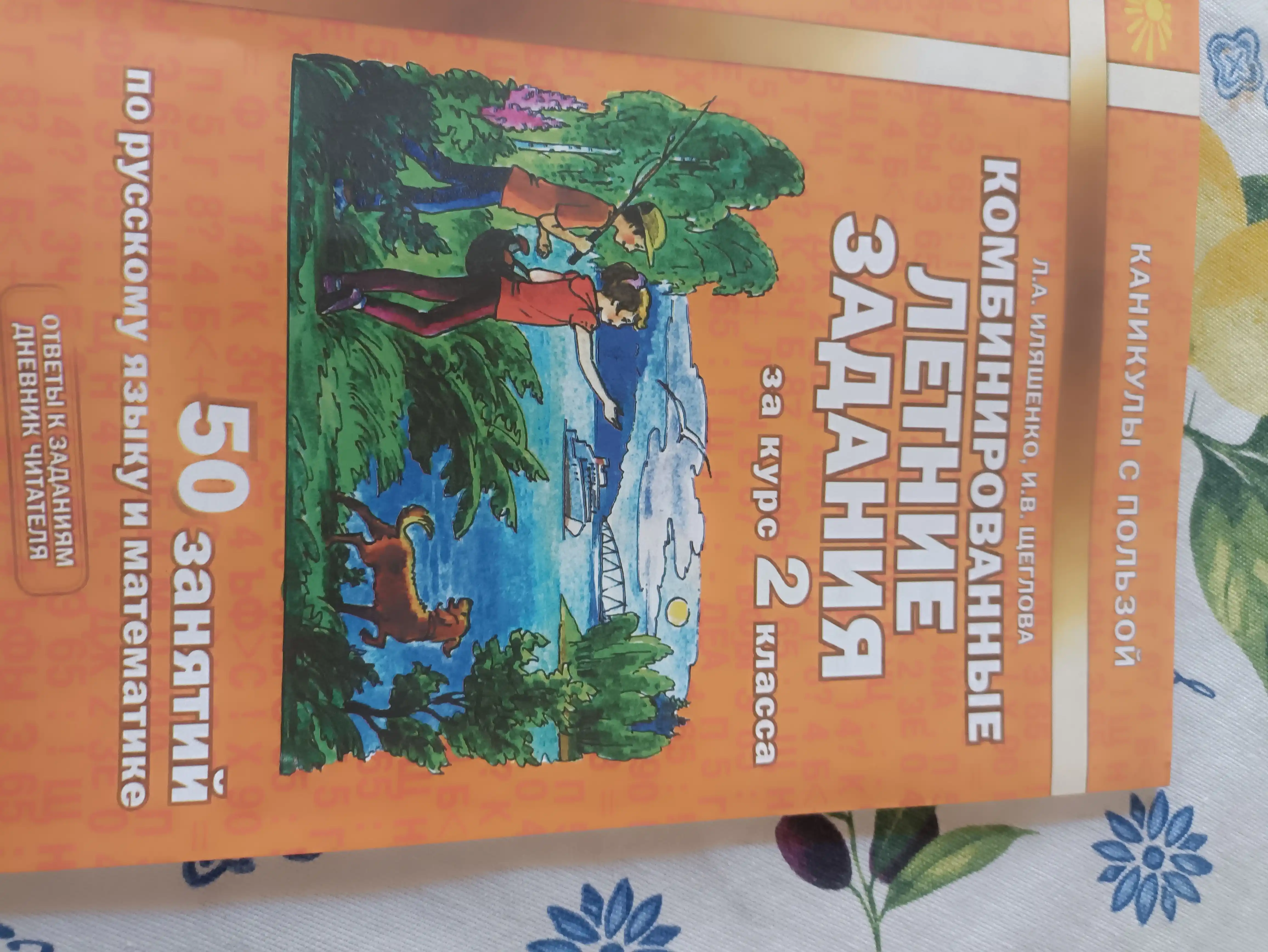 Kombinirovannyye letniye zadaniya, za kurs 2 klassa