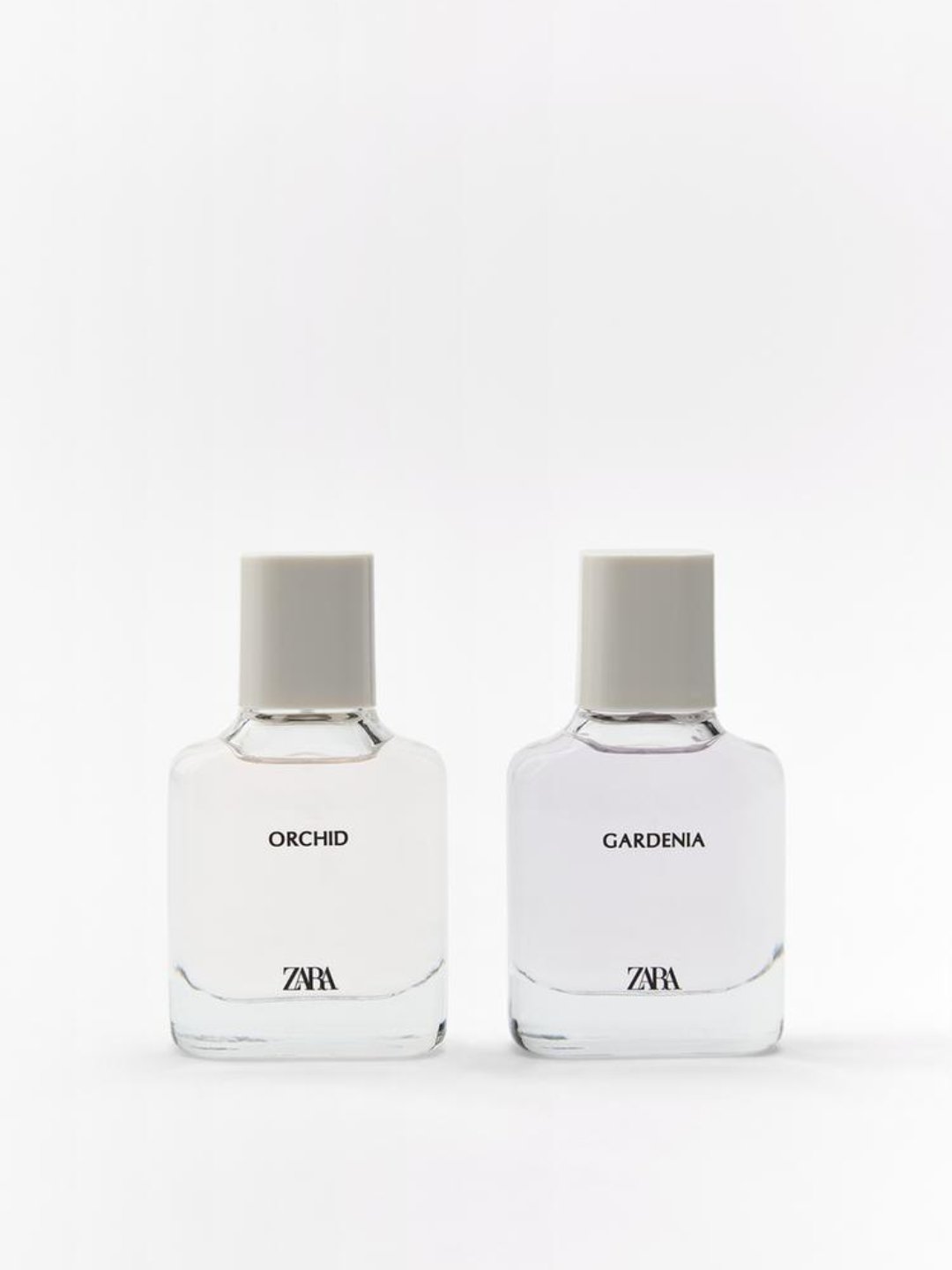 Harakatlanuvchi erotik rasmlar