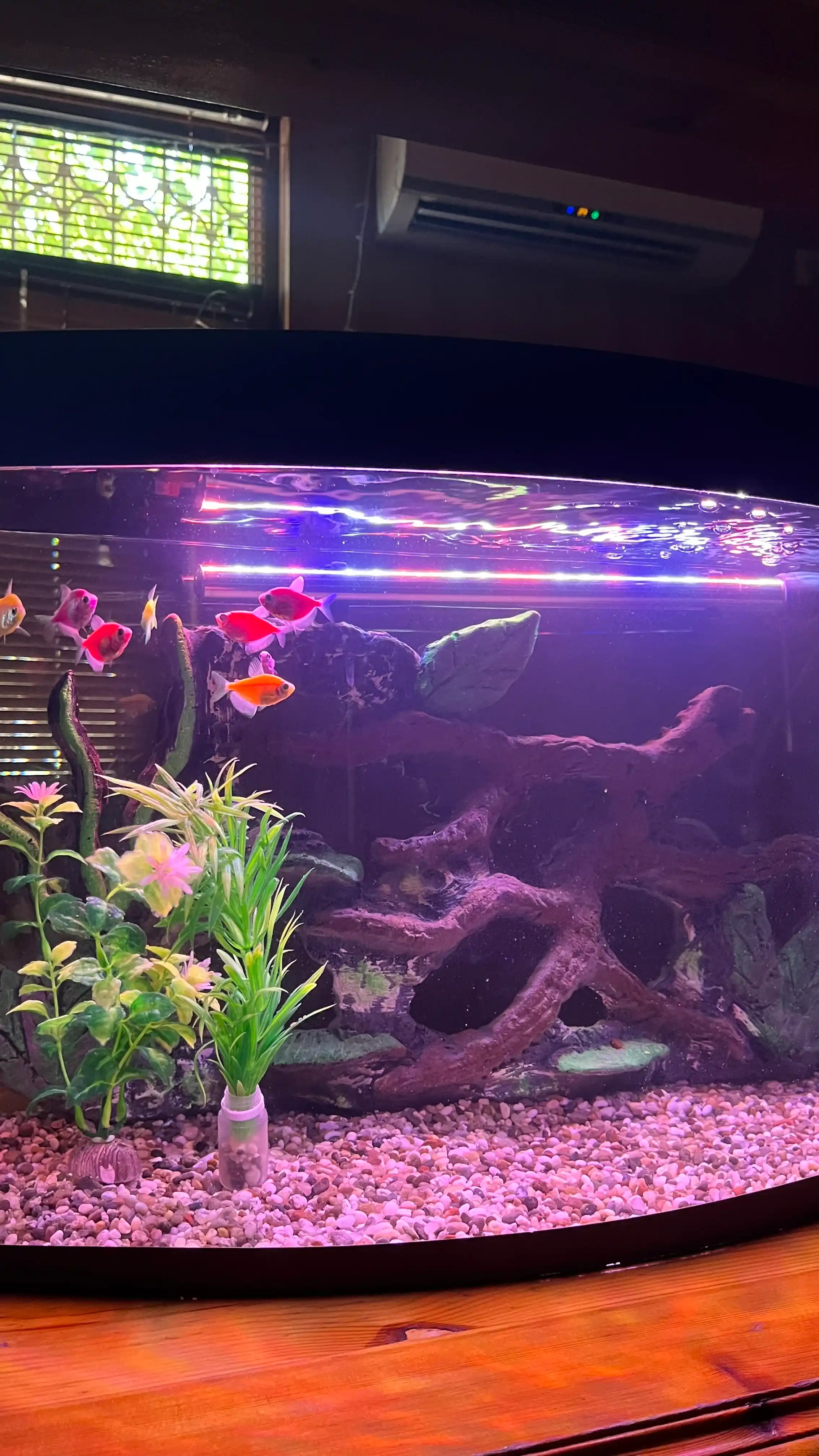 LED akvarium chirog'i, rangli o'tkazgichli chiroq, 20-100 sm, moviy, qizil, oq