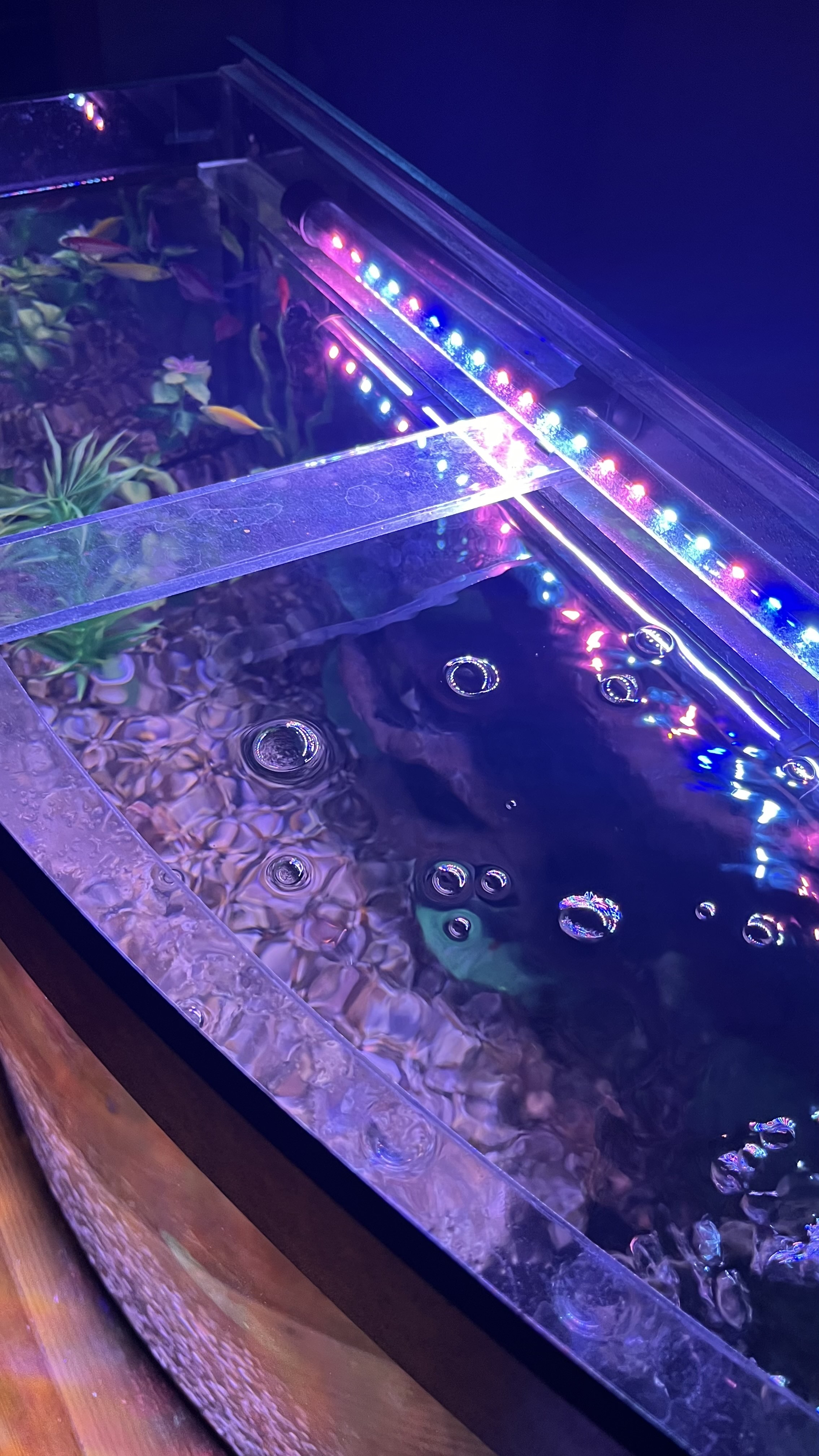 LED akvarium chirog'i, rangli o'tkazgichli chiroq, 20-100 sm, moviy, qizil, oq