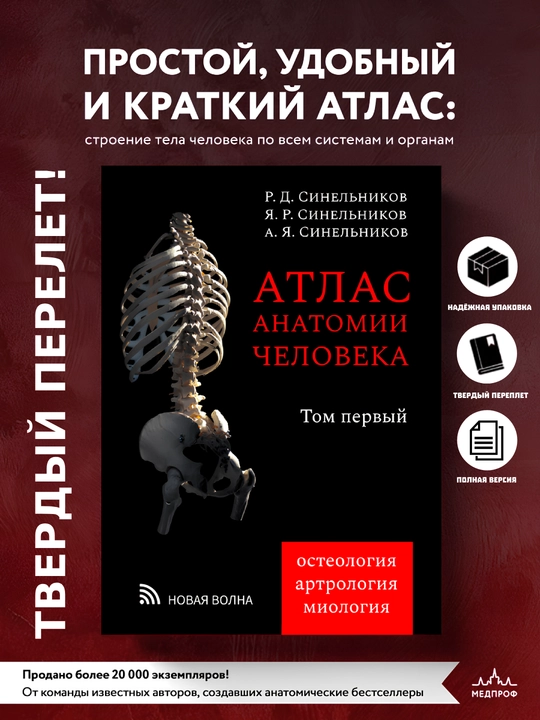 Атлас анатомии человека. Том 1. Синельников - 