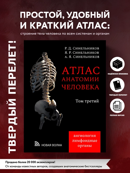 Атлас анатомии человека. Том 3. Синельников - 
