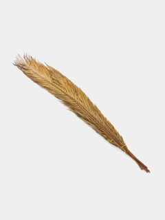 Sargʻish