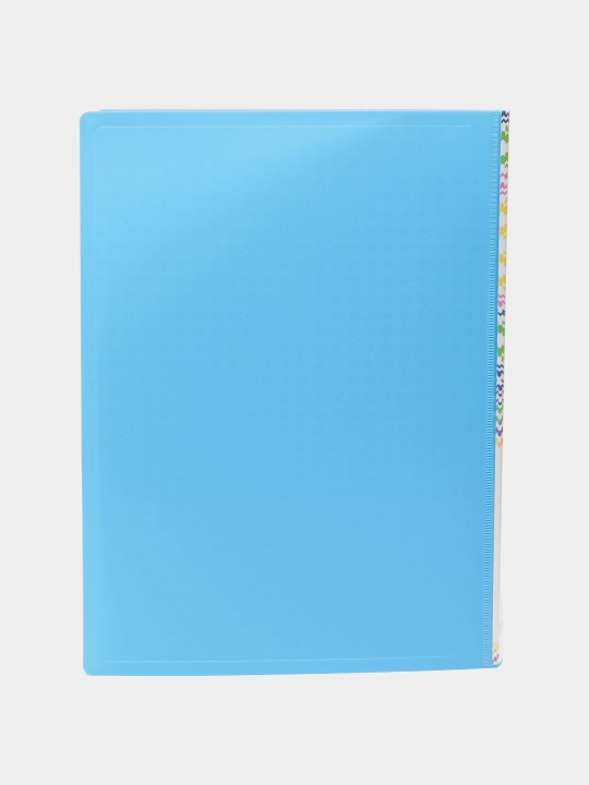 10 fayl bilan plastik papka, 30683 q0000015996
