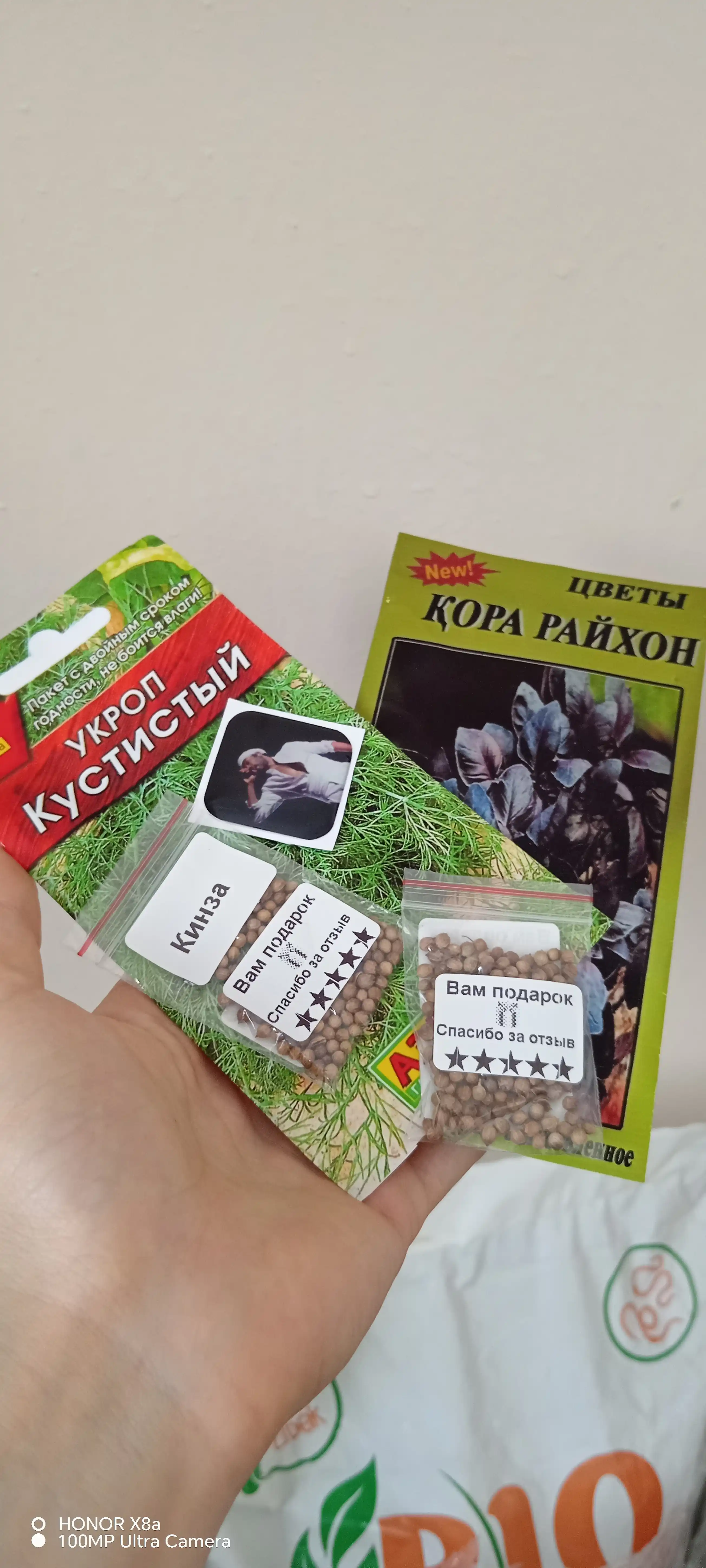 Семена зелени. Укроп. Семена укропа