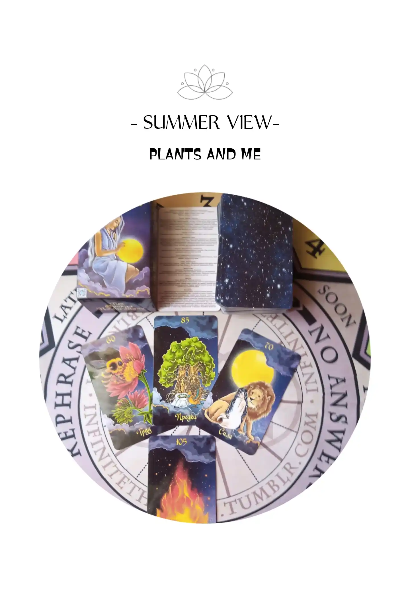 FullMoon Oracle 120 kartalari, laminatlangan, ta'lim folbinlik klassik kartalari