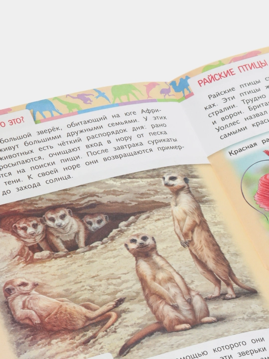 Книжка 8л  А5ф "Отчего и почему? Кто это?"- 8Кц5-22828 q0000013795