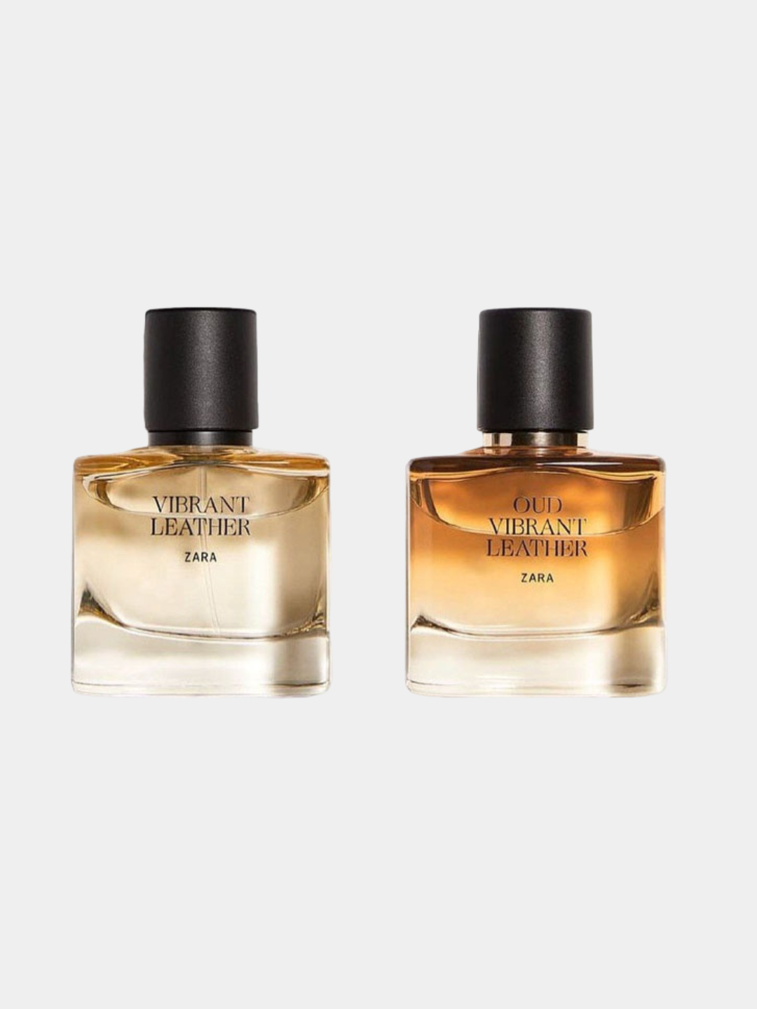 Oud Vibrant Leather Creed Creed Aventus Zara Vibrant Oud Vibrant