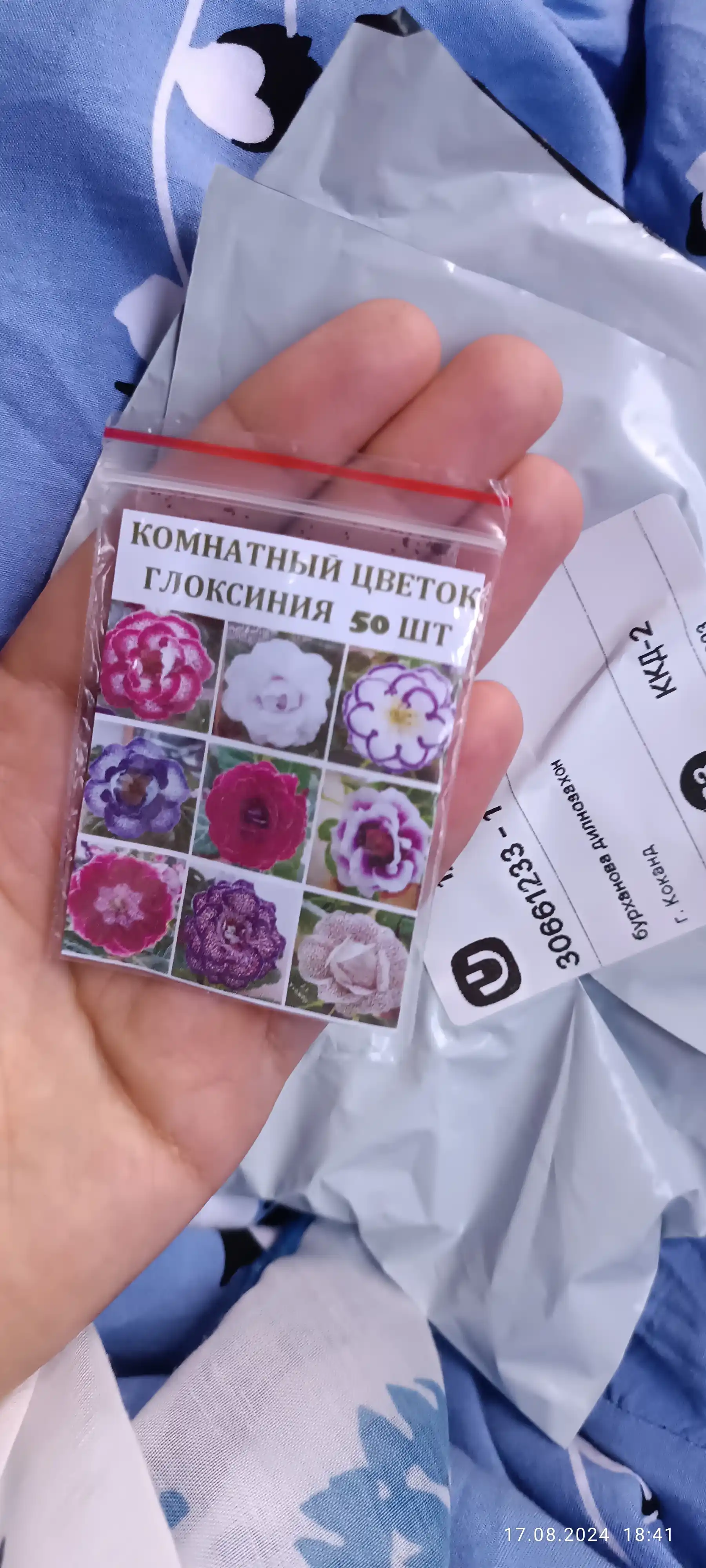 Gloxinia urug'lari, 50 dona