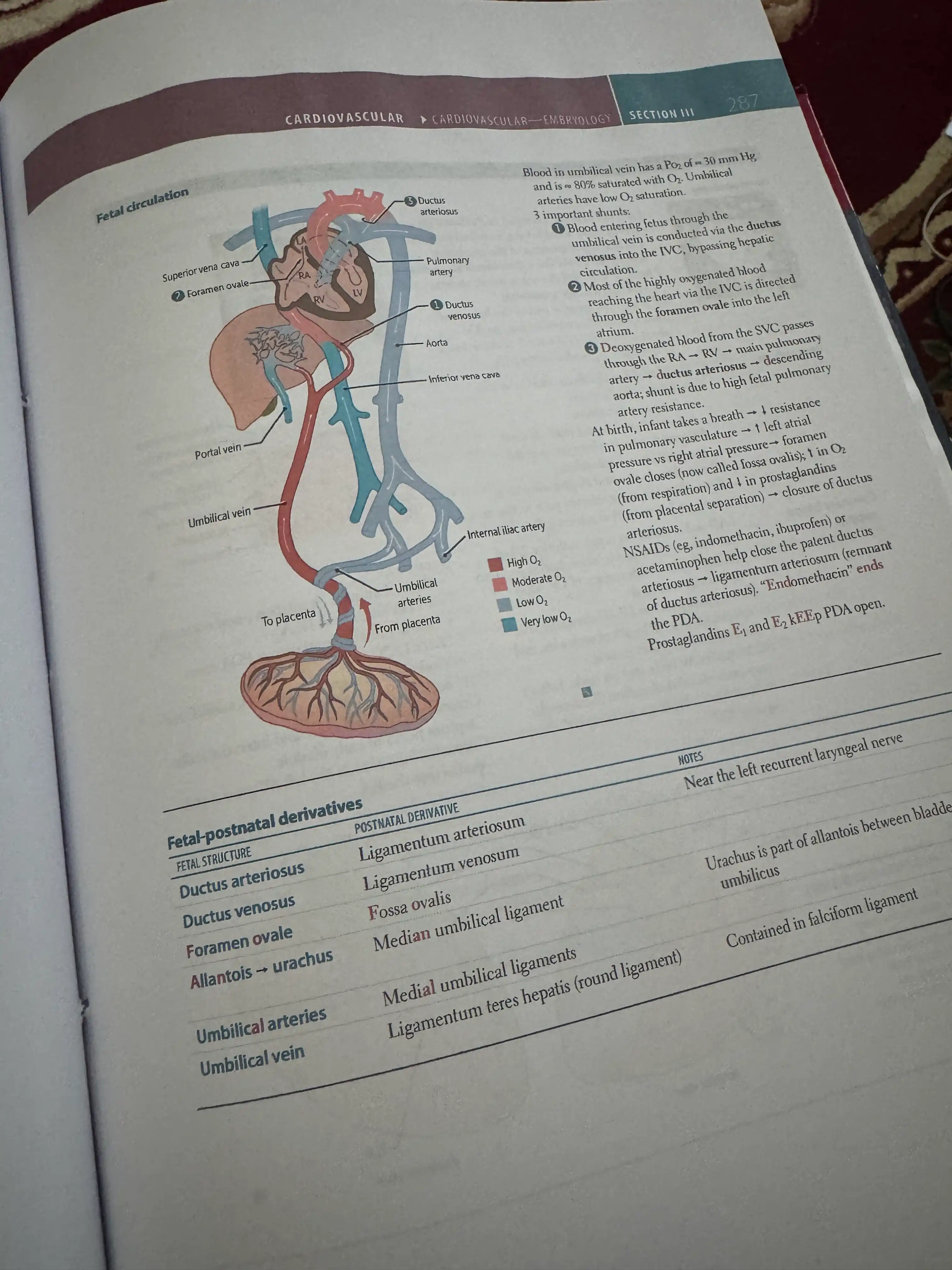 First Aid for the USMLE Step 1 2023 33rd Edition