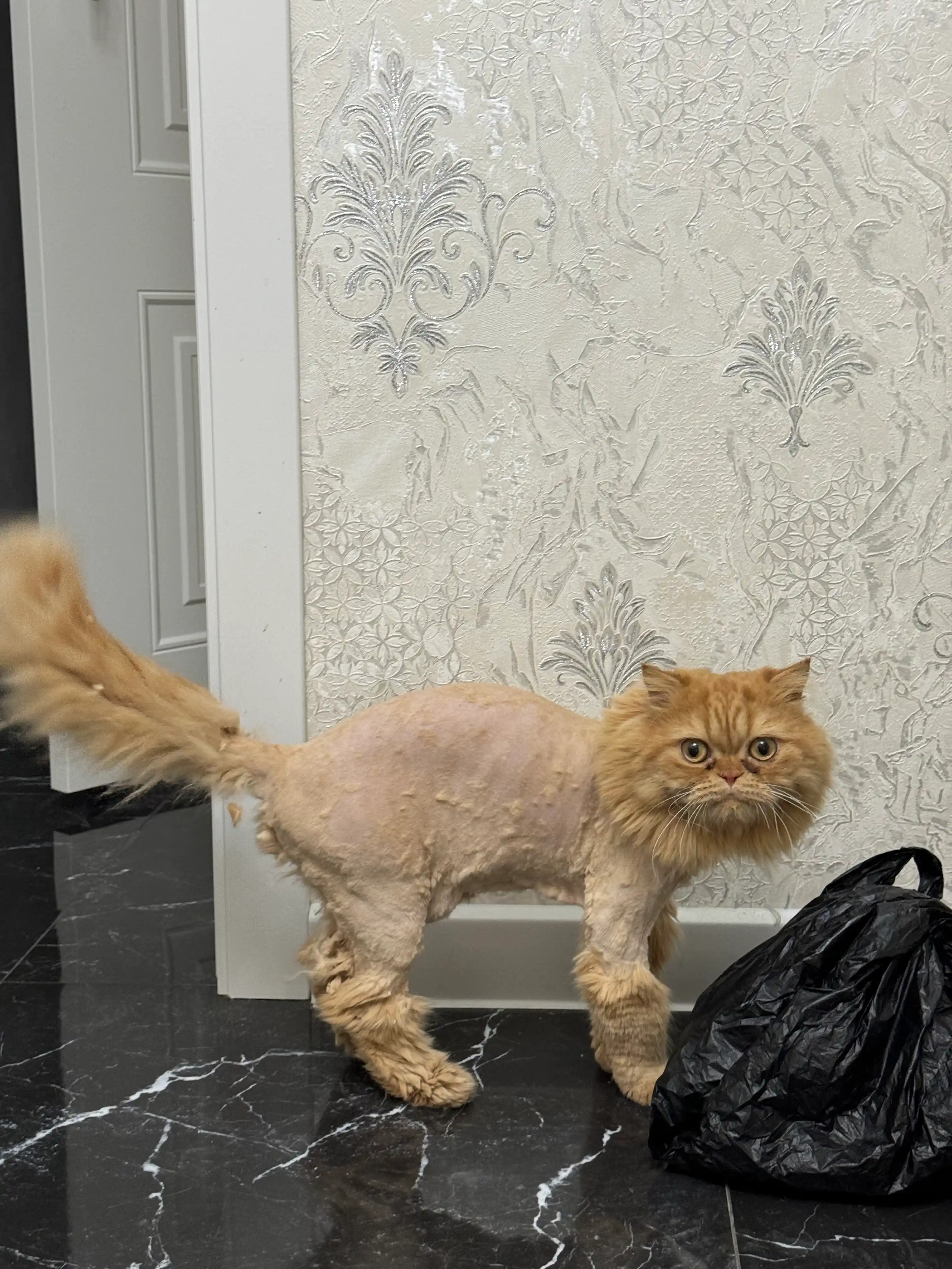 Машинка для стрижки животных Xiaomi Pawbby Pet Shaver, для кошек, собак