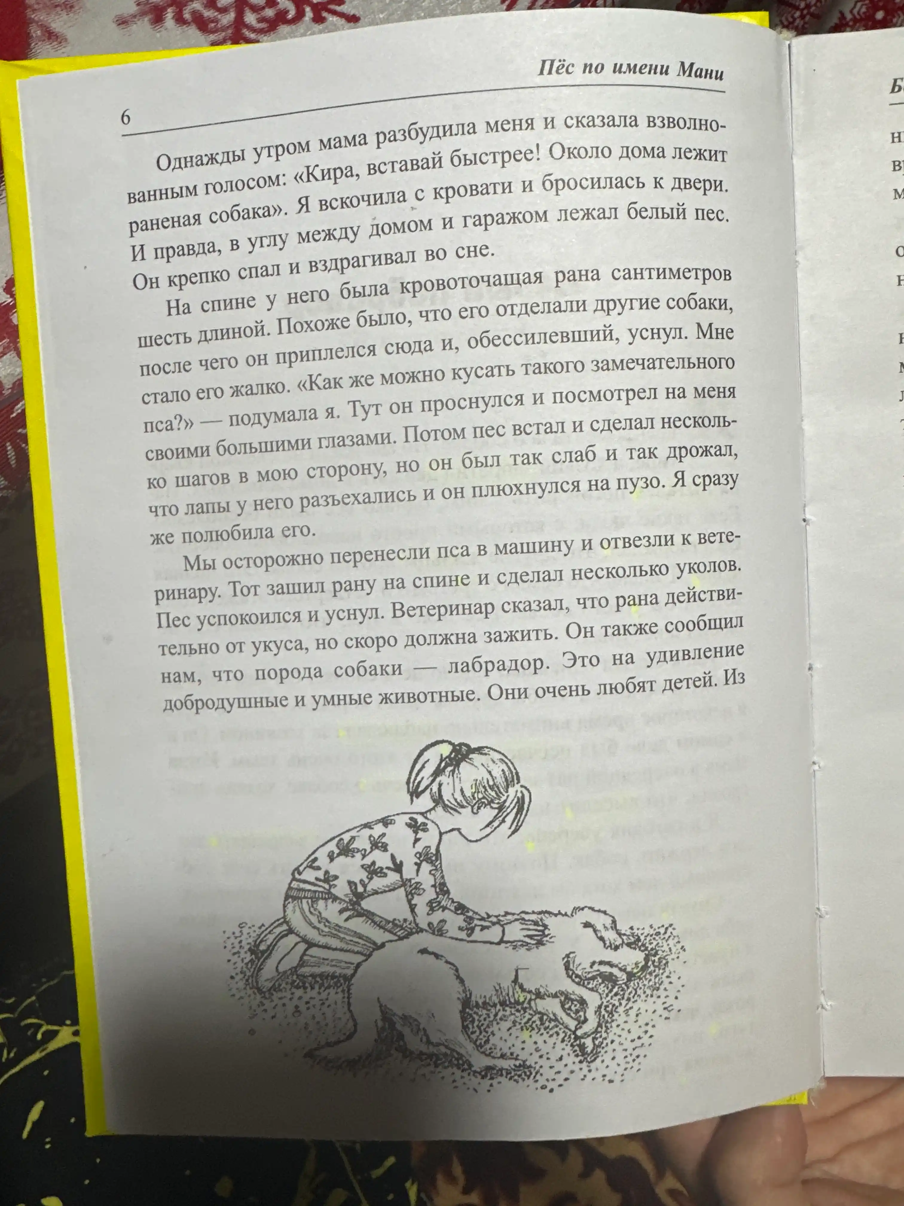Ғолиблик қонуниятлари, Пул алифбоси, Мани лақабли кучукча — Бодо Шефер