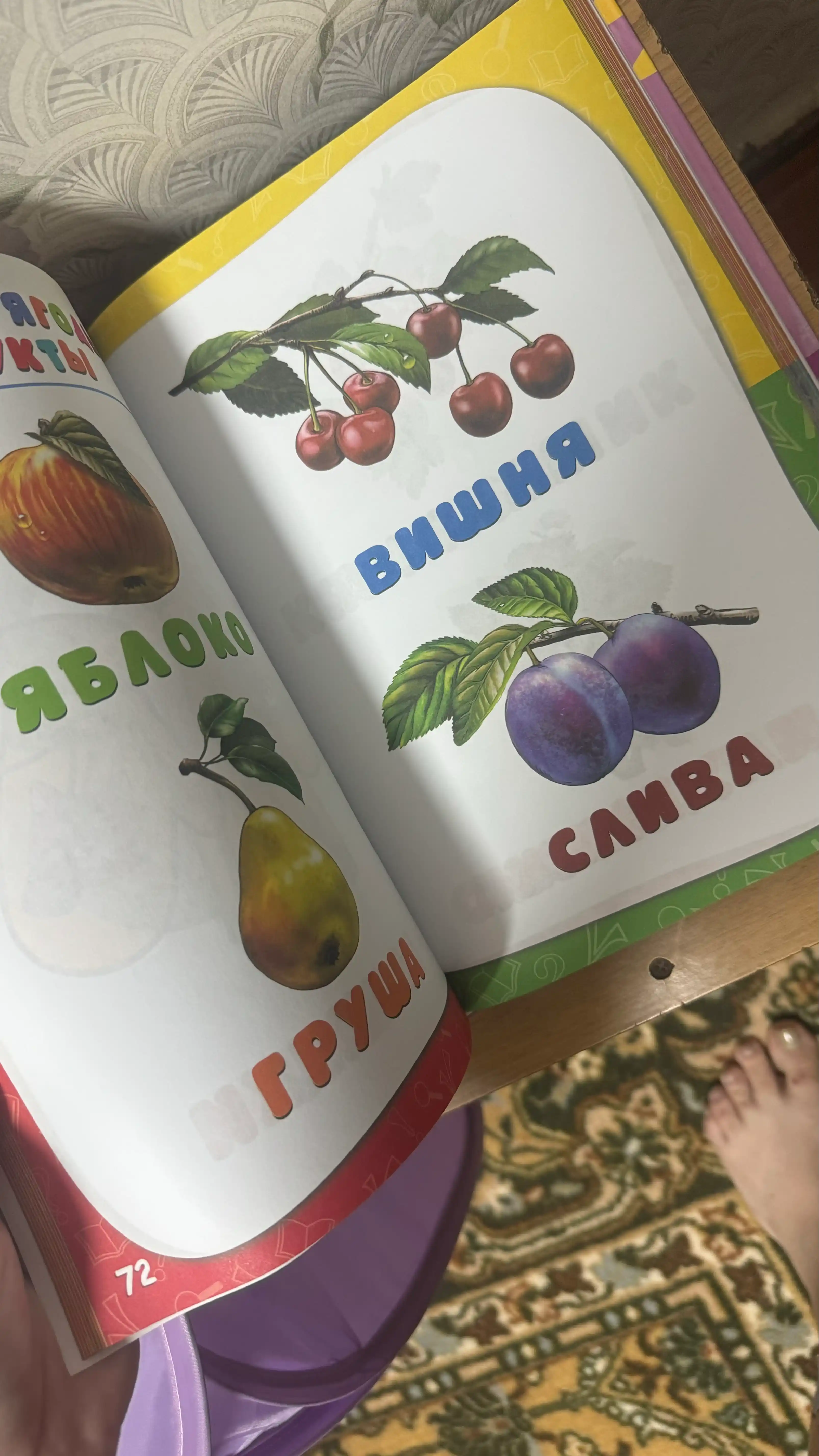 Godovoy kurs zanyatiy: dlya detey ot rozhdeniya do goda