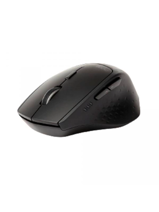 Беспроводная мышь Rapoo MT550