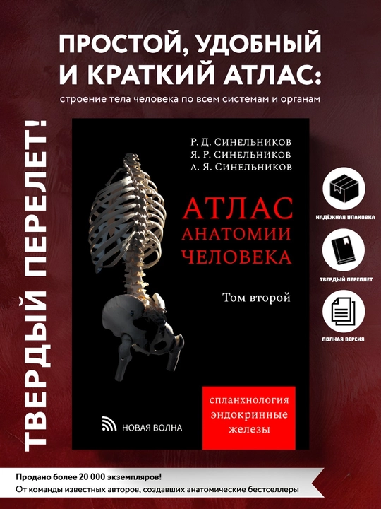 Atlas anatomii cheloveka, Tom 2, Sinelnikov - 