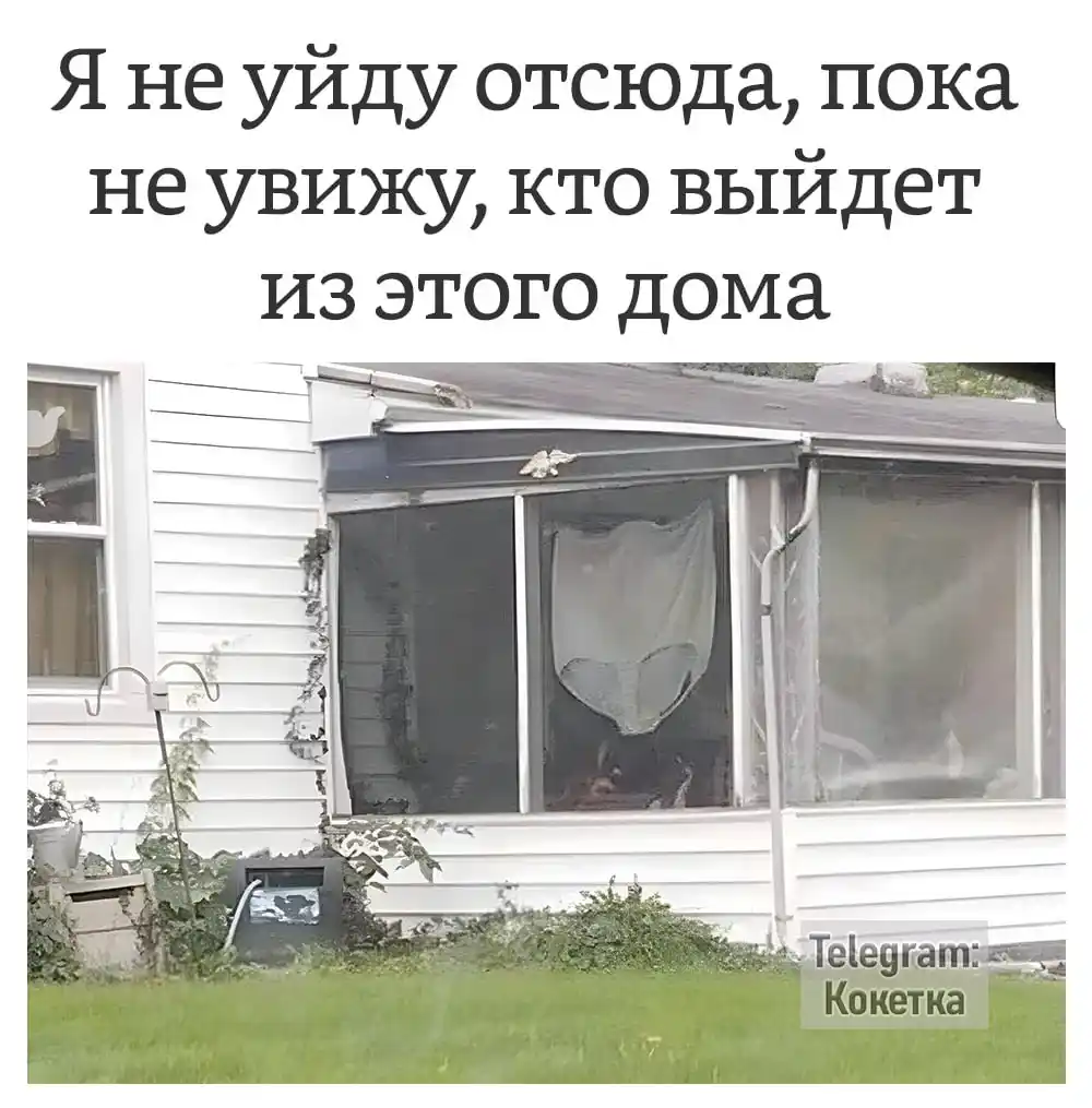 Кулинарный термометр TP101