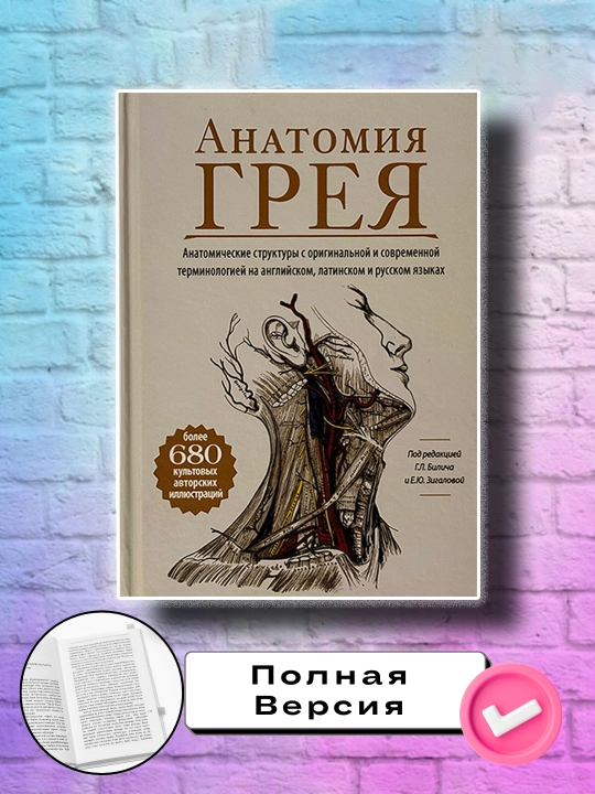Анатомия Грея, Габриэль Билич, Елена Зигалова - 