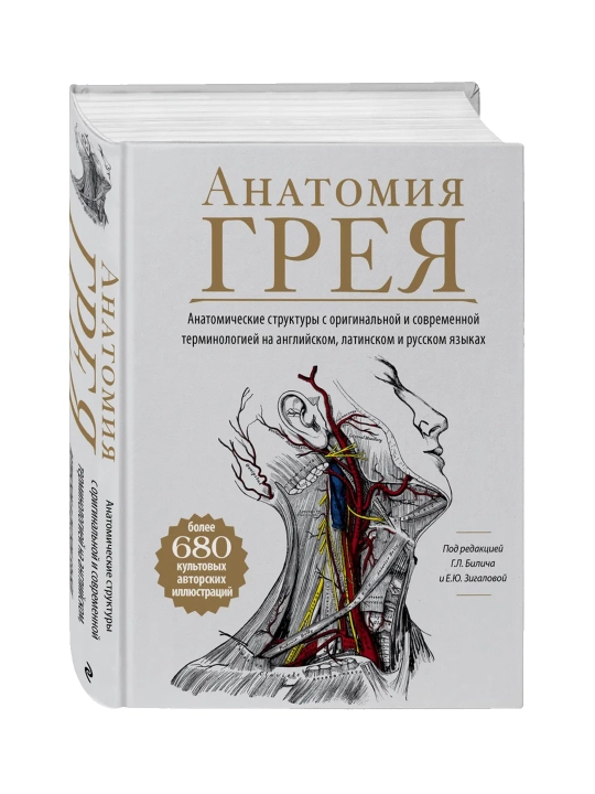 Анатомия Грея, Габриэль Билич, Елена Зигалова