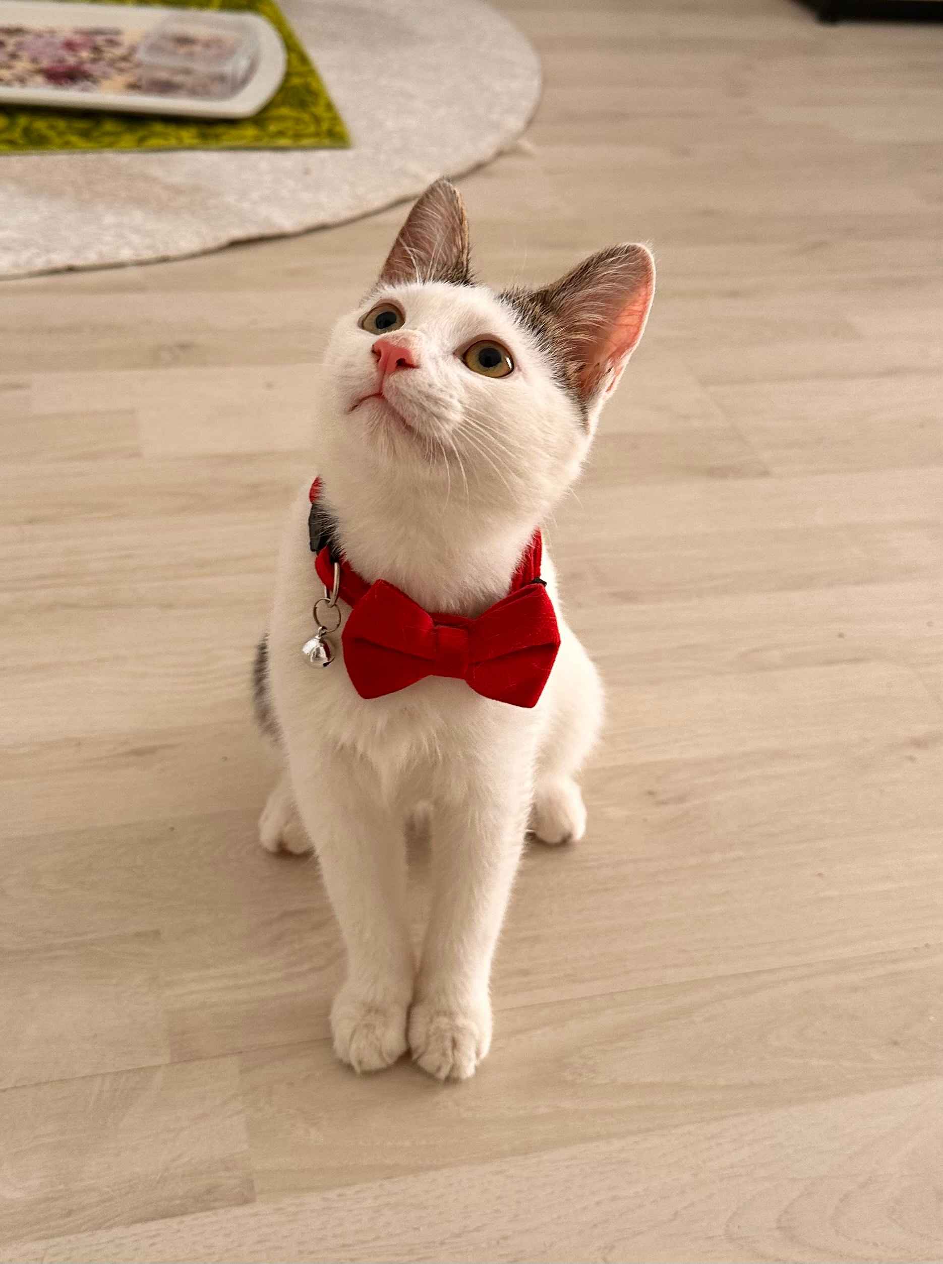 Valentin aktrisa porno