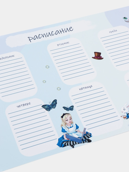 Расписание уроков, планинг, 4 штуки разного дизайна, комплект на год, A4