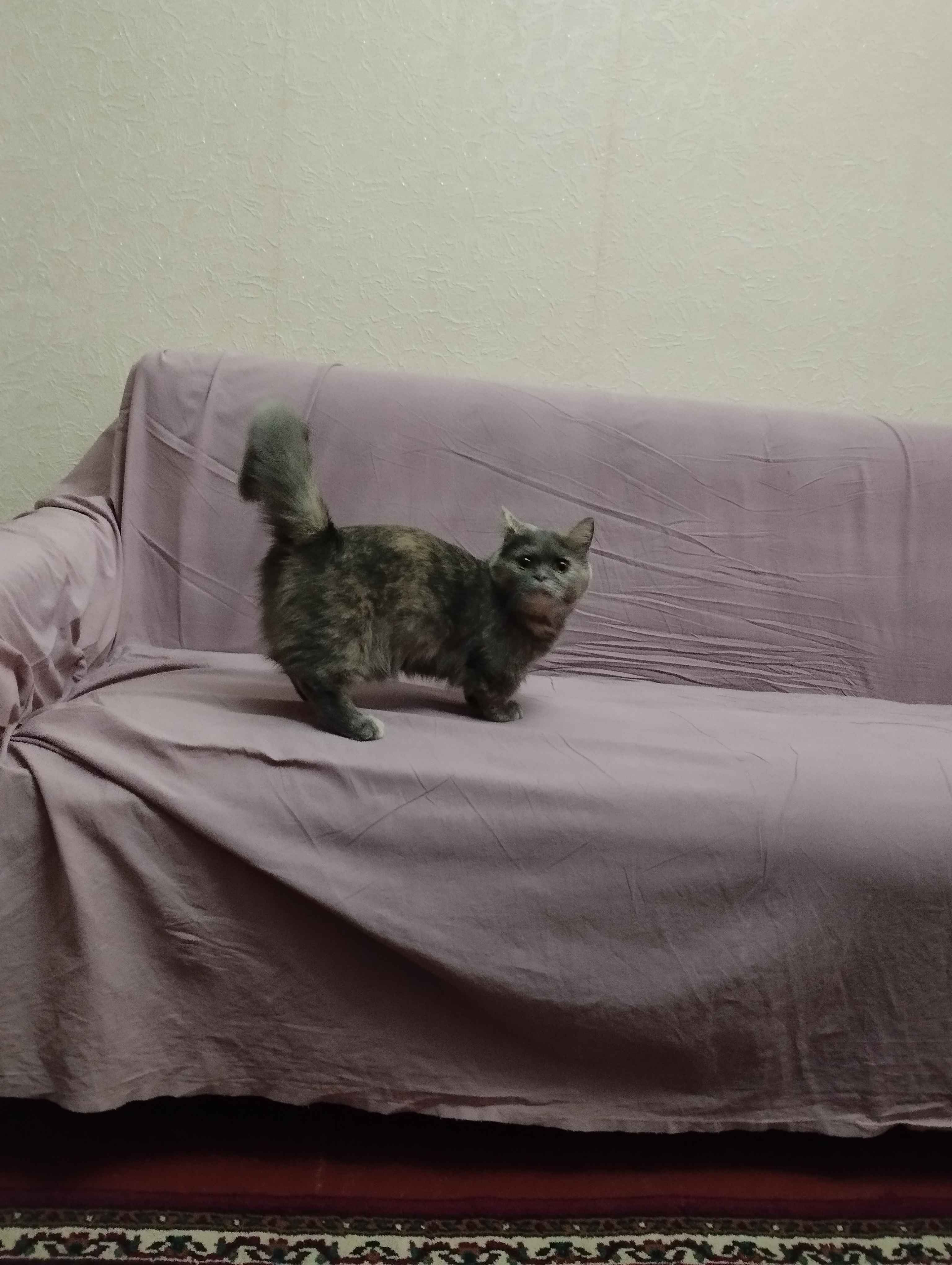 Ommaviy suratlarda yalangoch rus ayollari