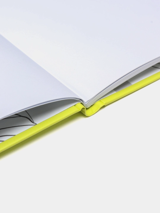 Sketchbuk Fresh 21578, toza varaqlar, matli laminatsiya, 7BS, 197 * 145 mm, 24 varaq