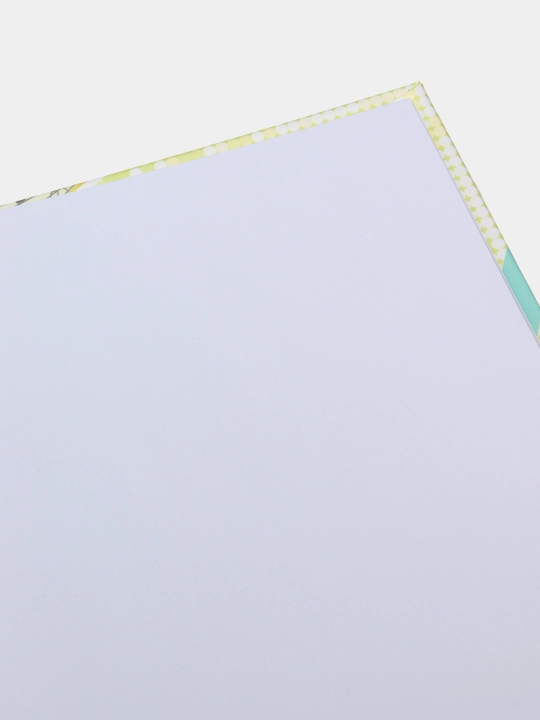 Sketchbuk Fresh 21578, toza varaqlar, matli laminatsiya, 7BS, 197 * 145 mm, 24 varaq