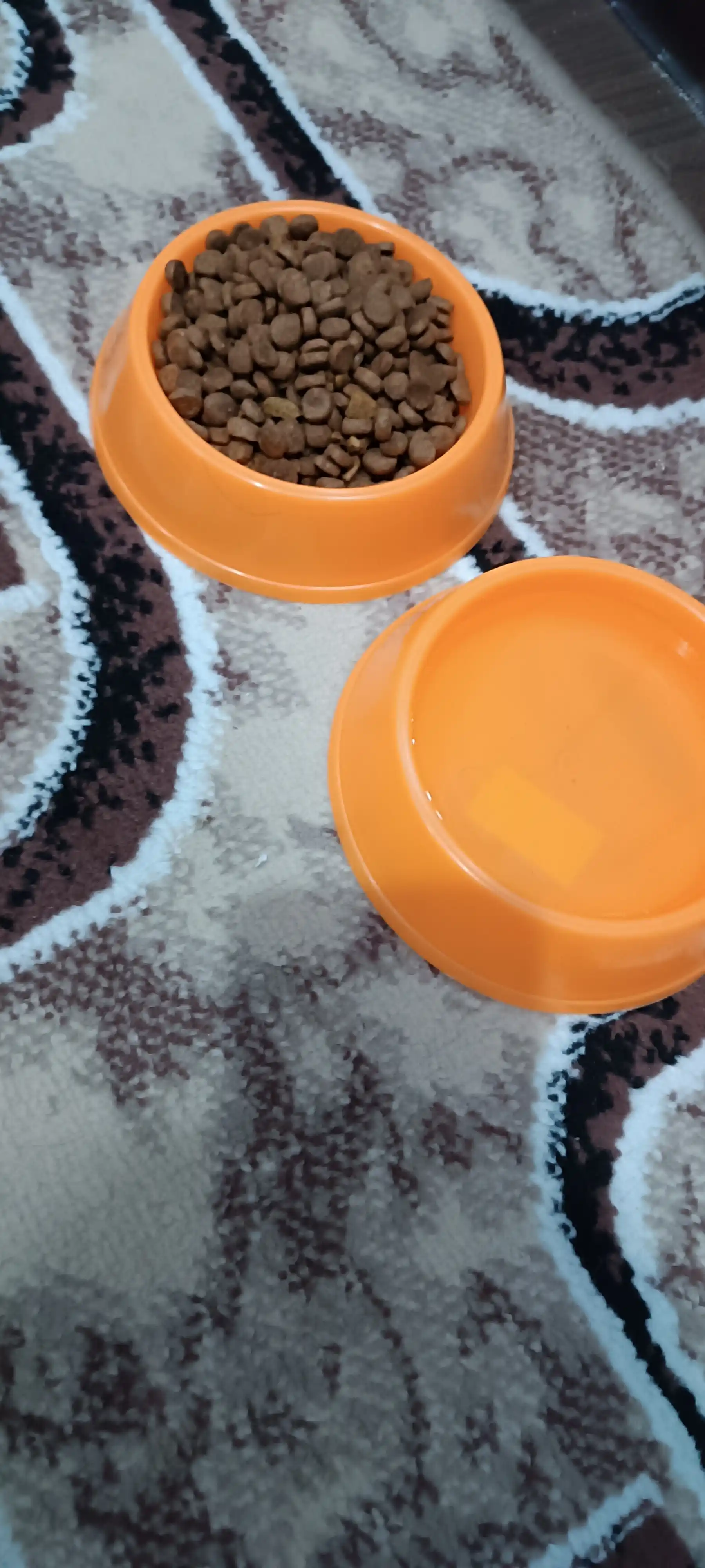 Миска круглая для кошек котят и маленьких собак
