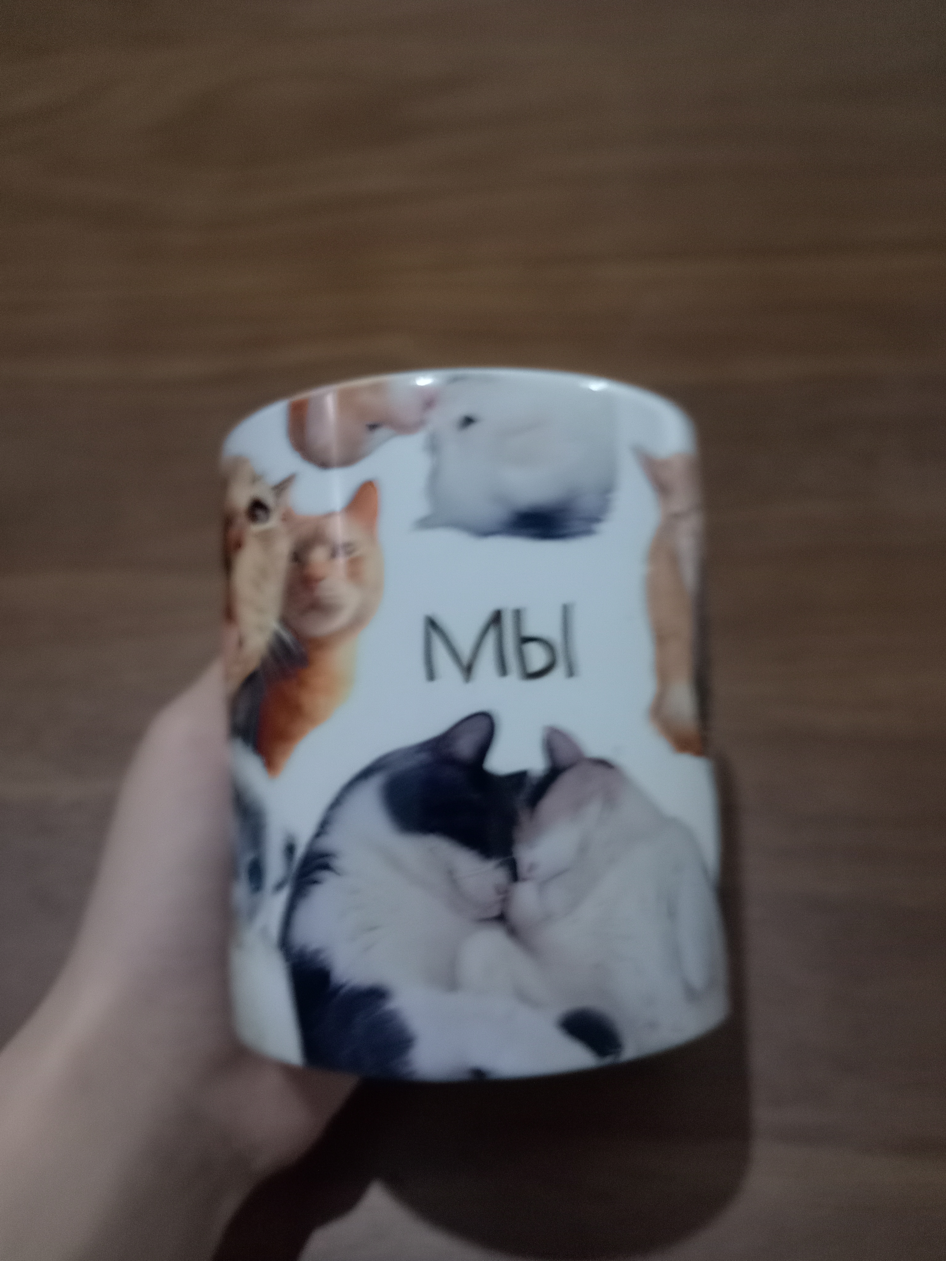 Mem krujkasi, mushuklar bilan stakan