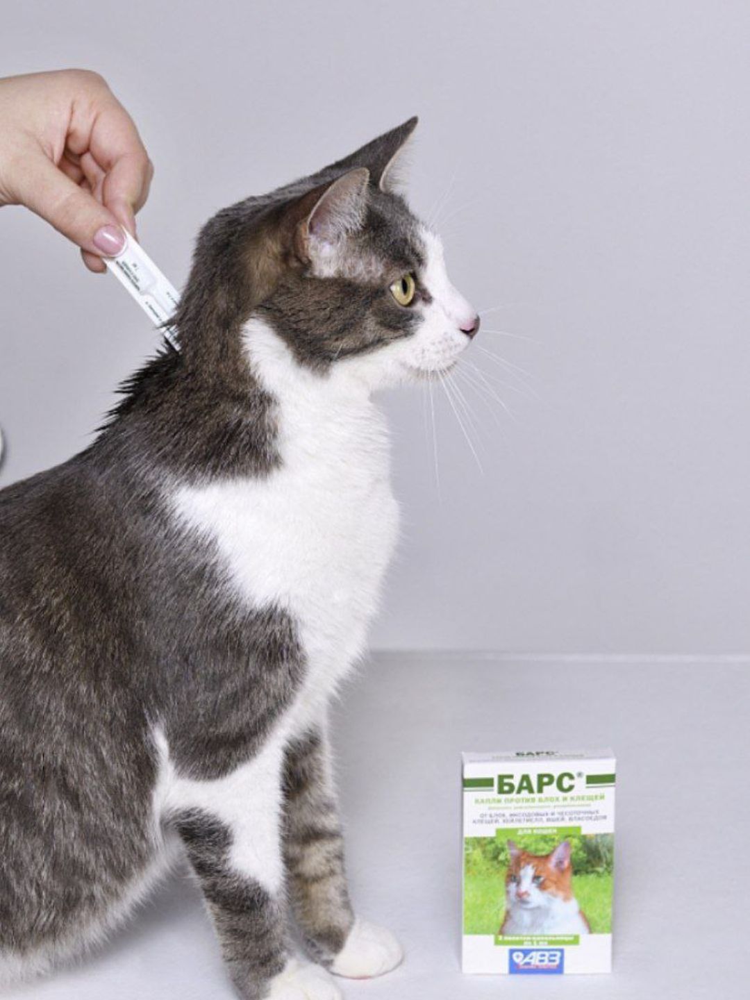 Www uzbek porno video