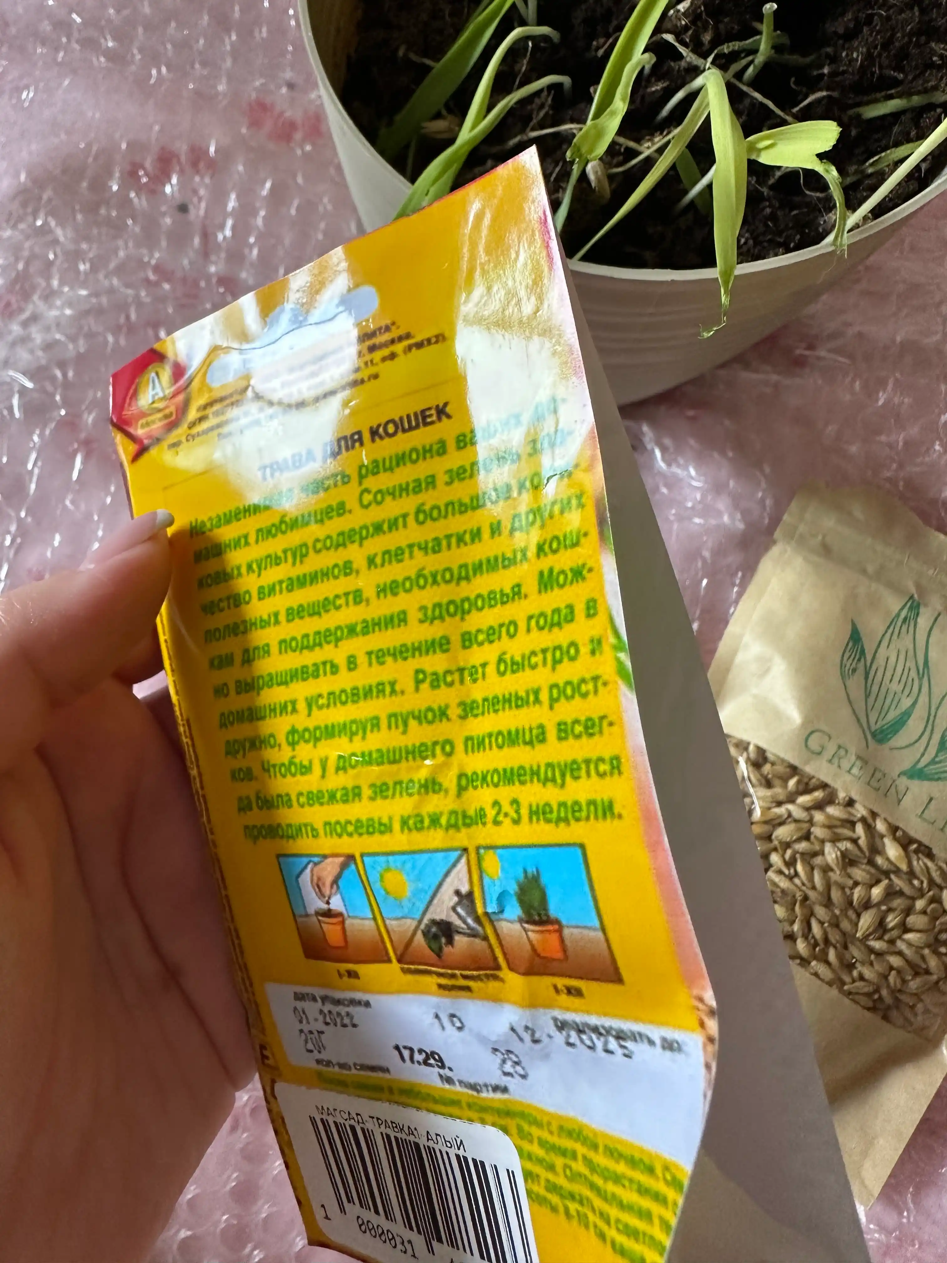 Трава для кошек, попугаев, грызунов