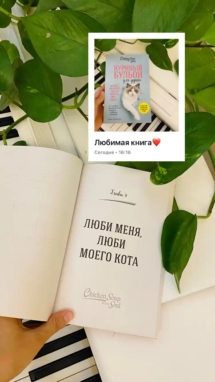 Svet nadejdi. Istorii, kotoriye podderjat i ukajut put, Kiryanova Anna