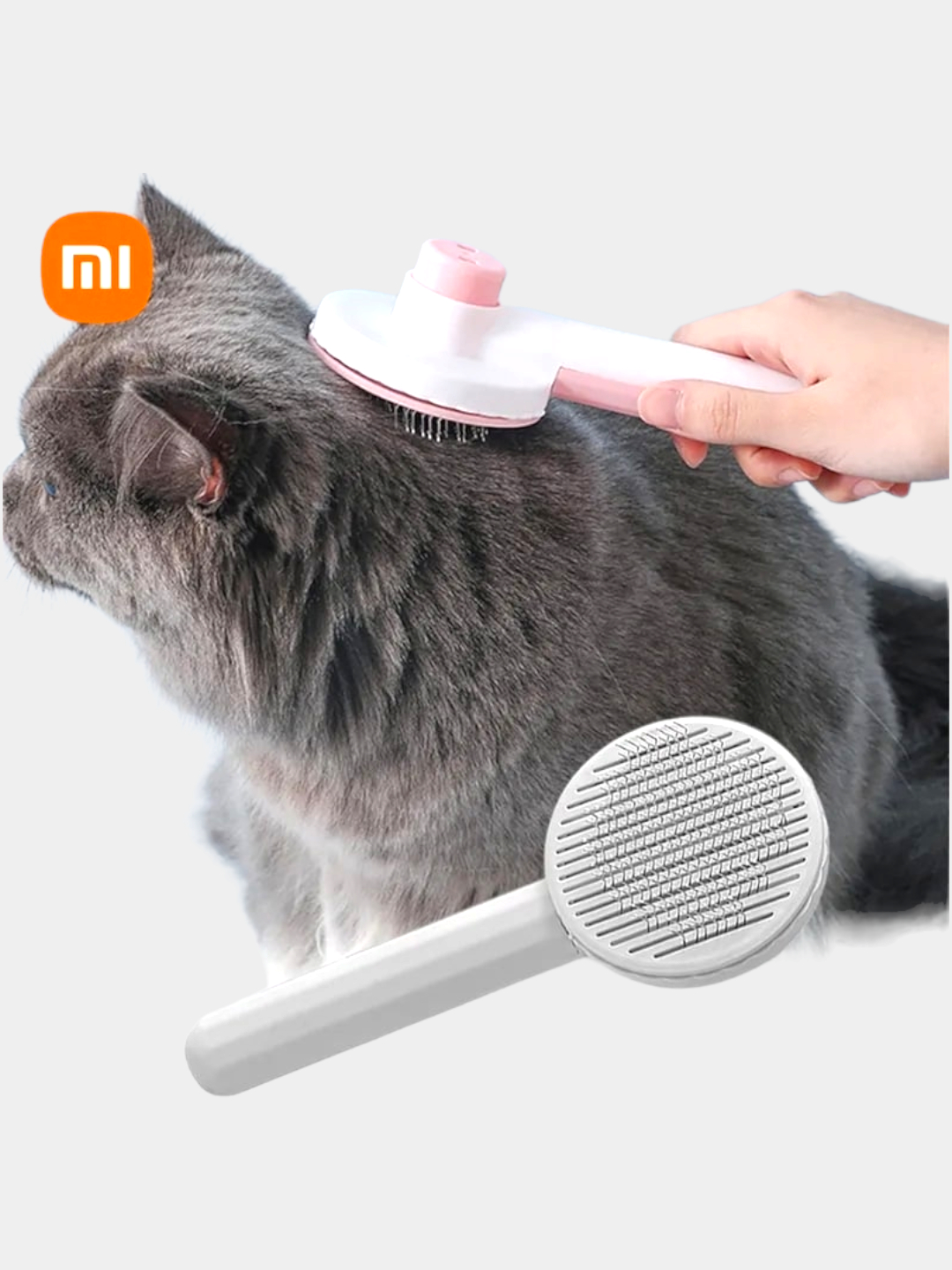 Tsenzurasiz, yoriqli erotik ichki kiyimlar