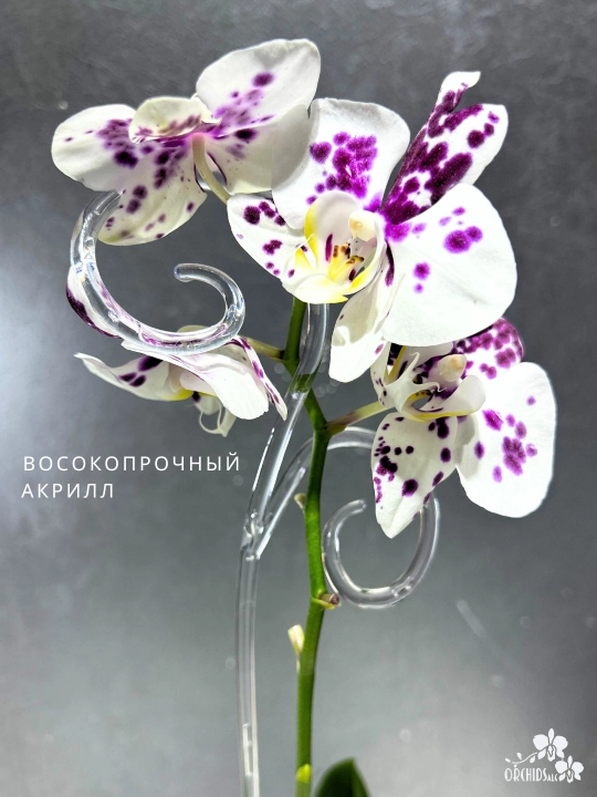 Опоры для орхидей и растений, шпалера 60 см