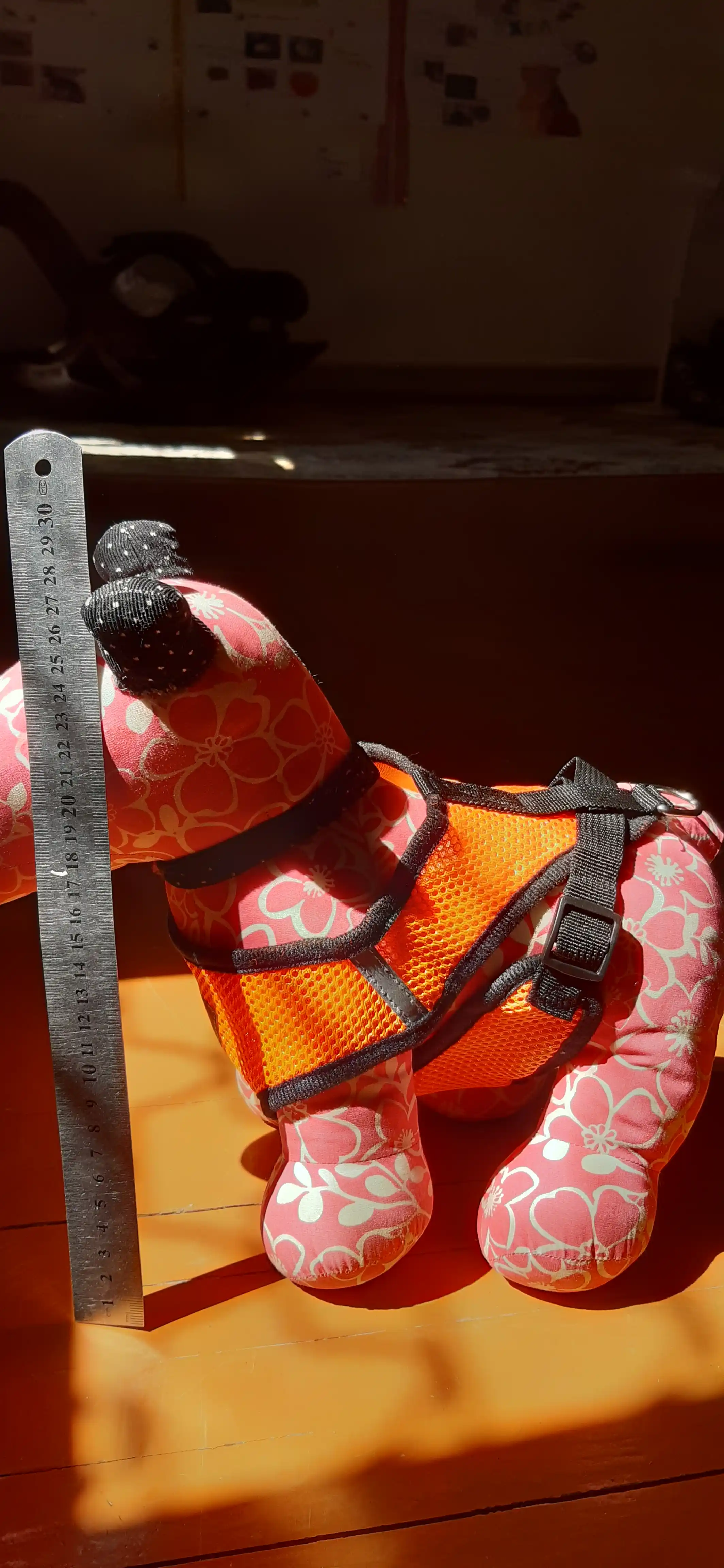 Itlar va mushuklar uchun jabduqlar, tasma