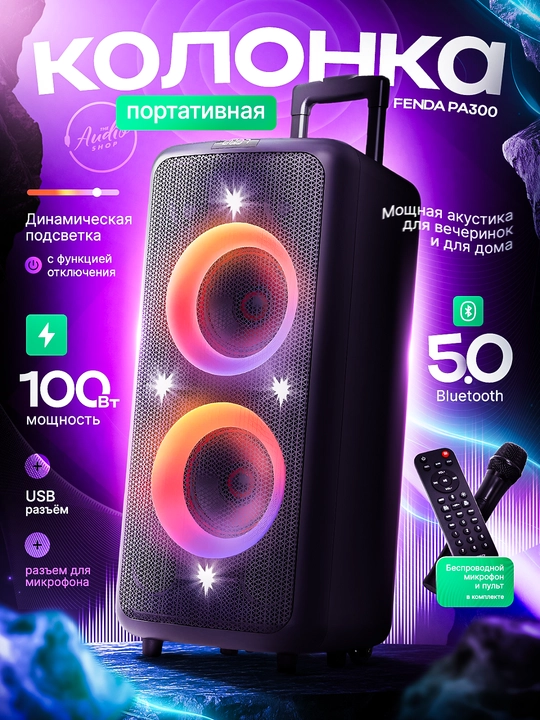 Portativ kolonka Fenda PA300 100W