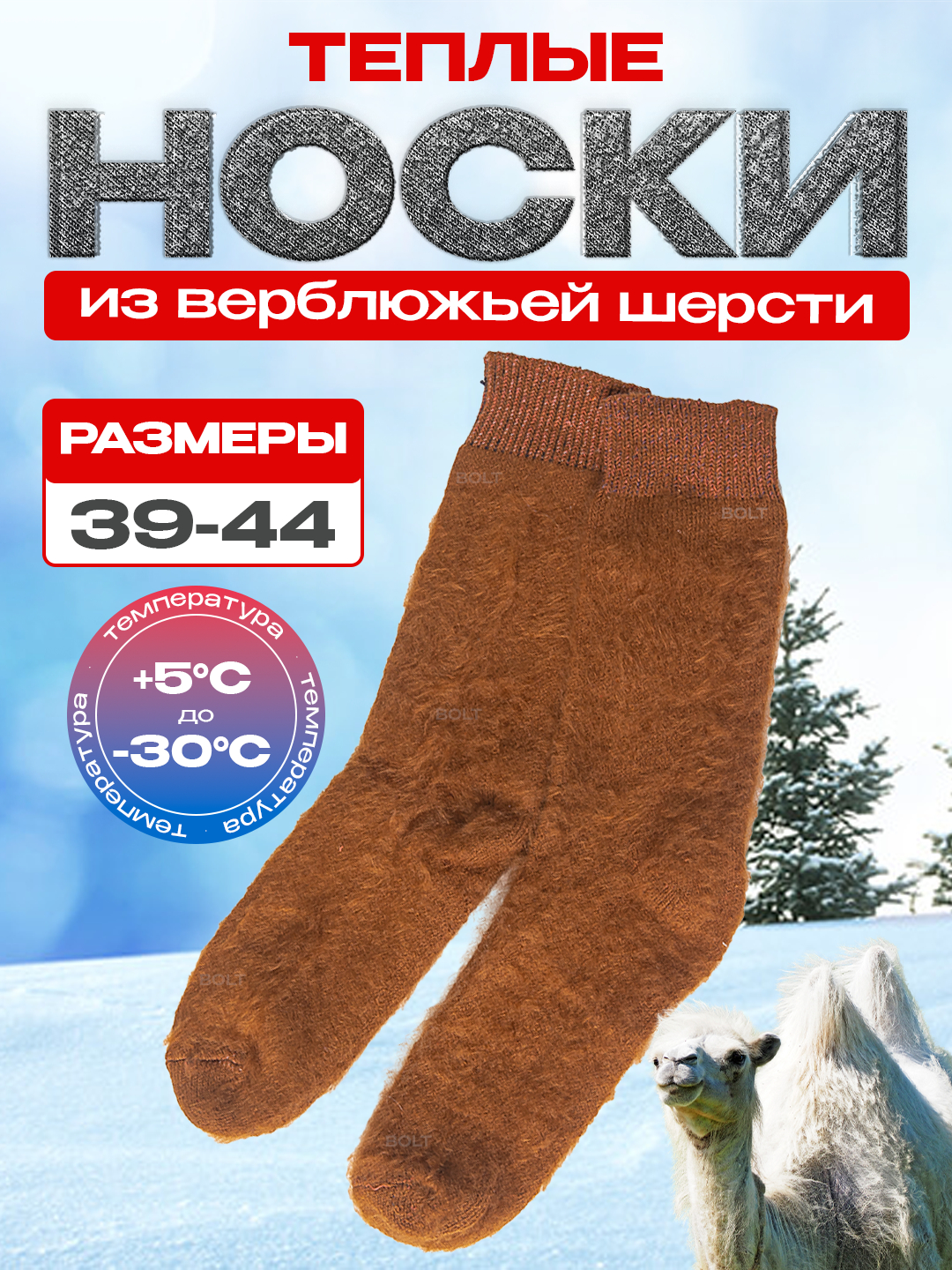 Osiyo trans jinsiy aloqa Mushuk va eshak ortasida