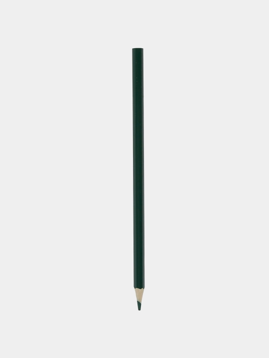 Rangli qalamlar ECO 12 rang, "Haqiqiy do'stlar", CS 068382 q0000017084