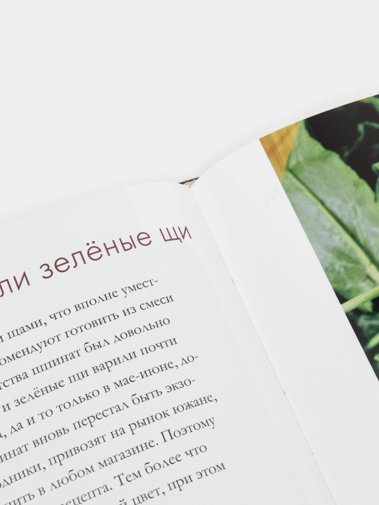 Русская кухня. Главное за 500 лет. Рецепты, техники, история. Владислав Пискунов