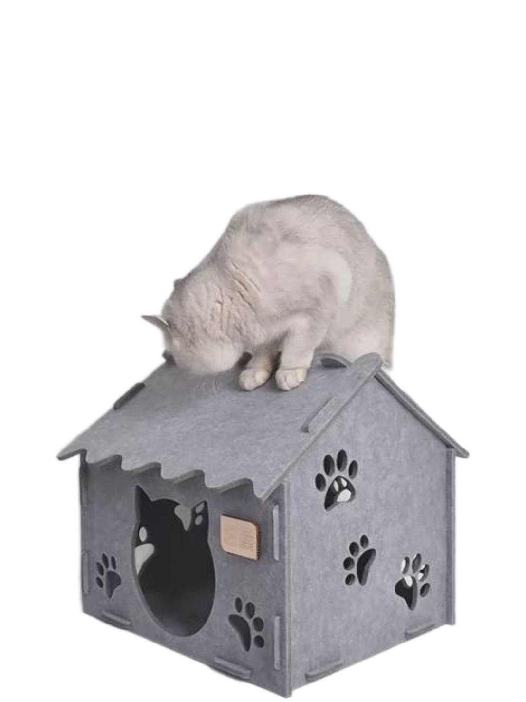 Inqilobdan oldingi jinsiy aloqa fotosuratlari